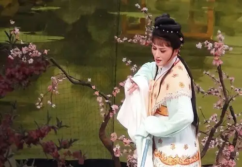 黛玉楚楚可怜惹人心疼单仰萍越剧红楼梦葬花