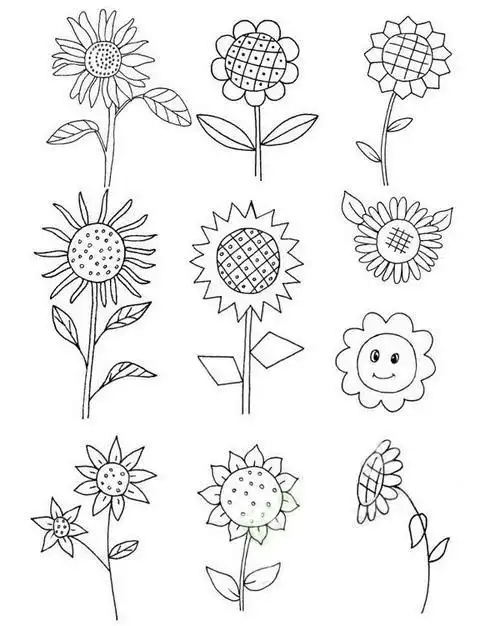 向日葵简笔画步骤图解教程及图片大全