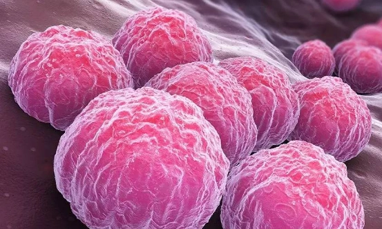 十种常见的微生物有哪些?