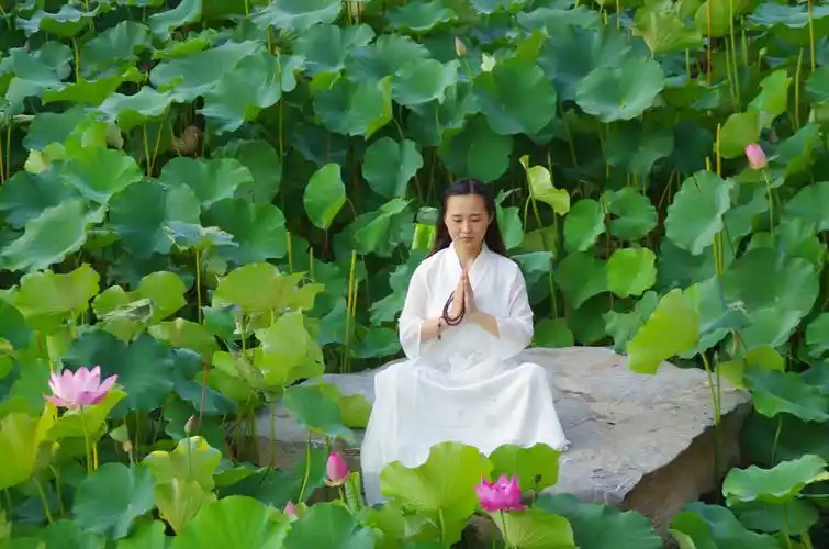 一花一世界心如莲花开
