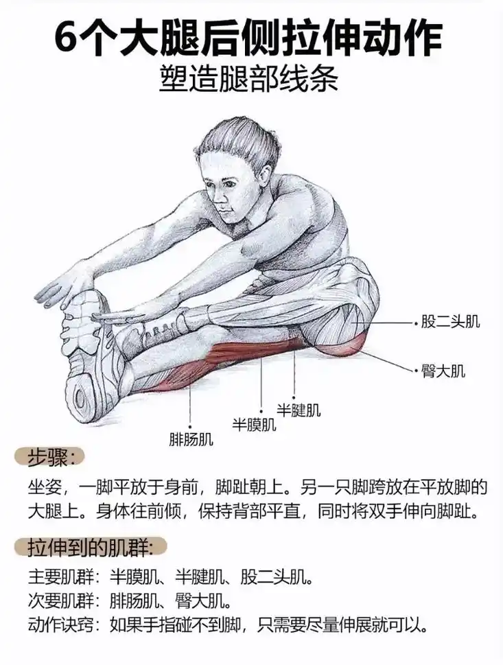 6个大腿后侧拉伸动作,助你轻松塑造腿部线条  - 抖音