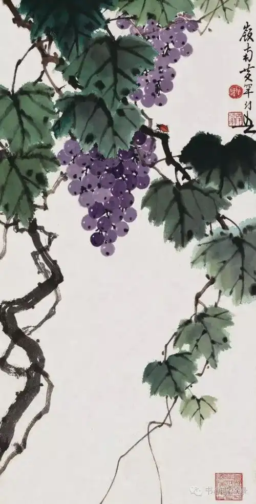 五位名家画葡萄看得口水都流出来啦