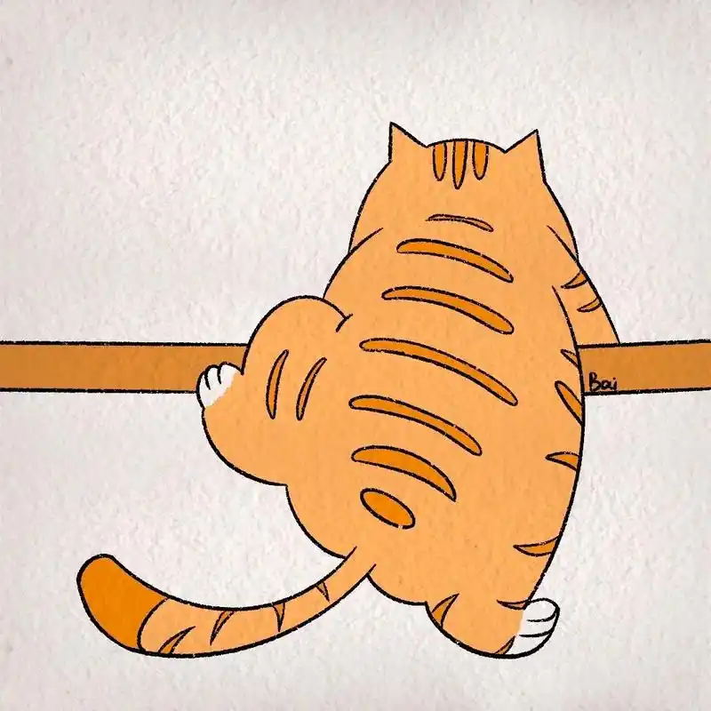 胖橘翻墙.出逃计划#可爱头像 #简笔画 #绘画过程 #手绘# - 抖音