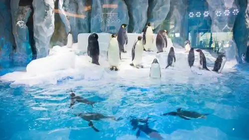 珠海长隆企鹅酒店 (chimelong penguin hotel)