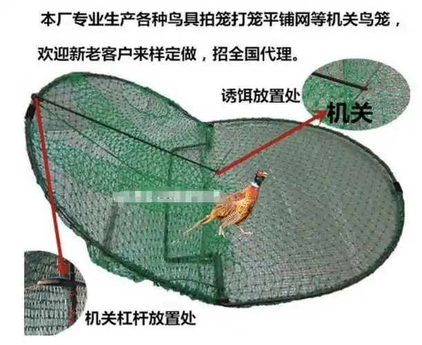 个搞五金加工的,业余会制作一些像如拍网,踏笼这样的更专业的捕鸟陷阱