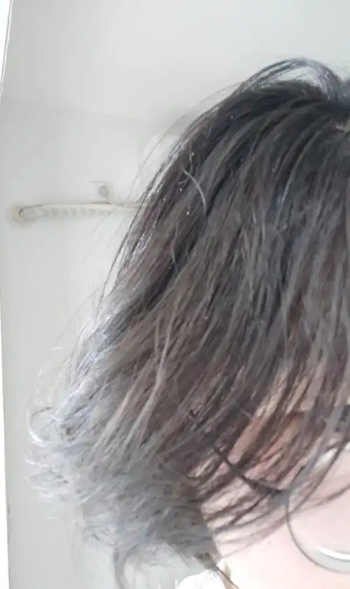 不出门我的头发都油成这个样子了