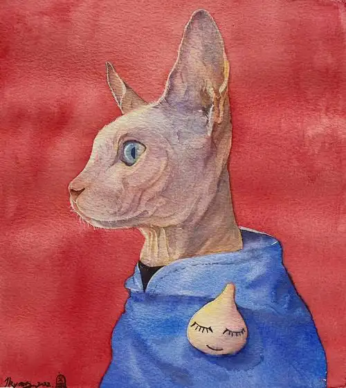 水彩动物斯芬克斯无毛猫带步骤图