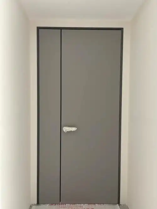 现代轻奢的极简子母门对开门