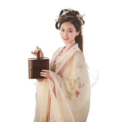 宋制汉服女春秋薄款对襟衫衫大袖褶裙套装刺绣古风演出服改良古装