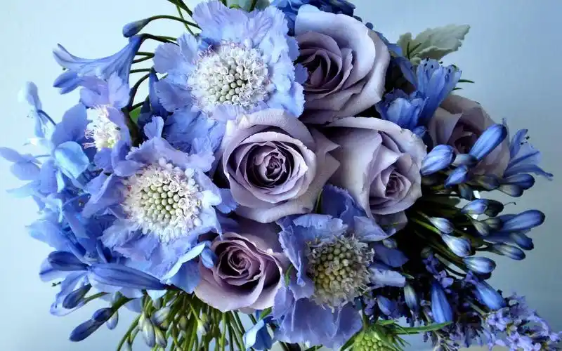 壁纸 紫玫瑰,花束,花朵