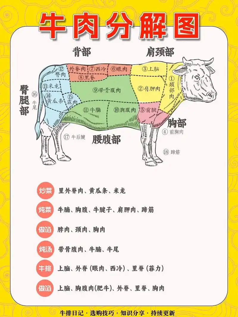 干货78一秒让你看懂牛肉的分解图.