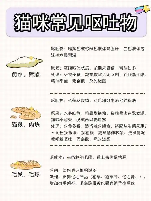 情况931,吐胃液,黄水原因:空腹呕吐状态,长期未进食,胃酸过多处理