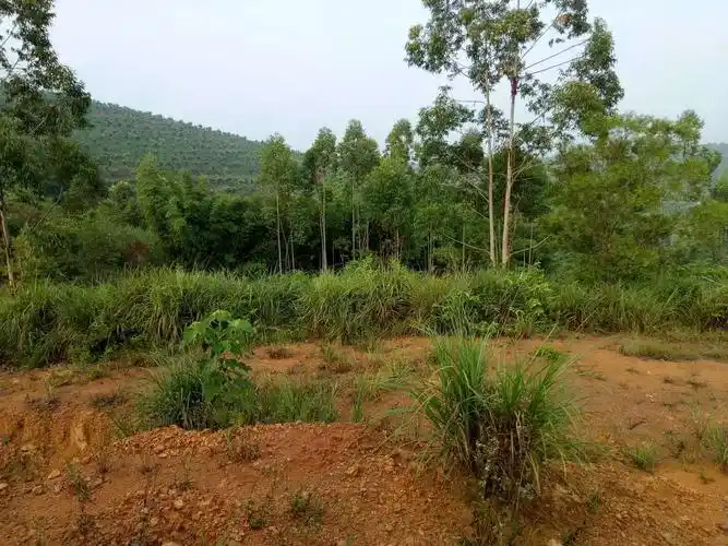 广西省来宾市象州县其他土地30亩出租