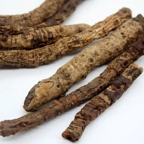 云南野生正品新鲜血三七 跌打损伤 疼痛 红三七 赶山鞭 500克包邮