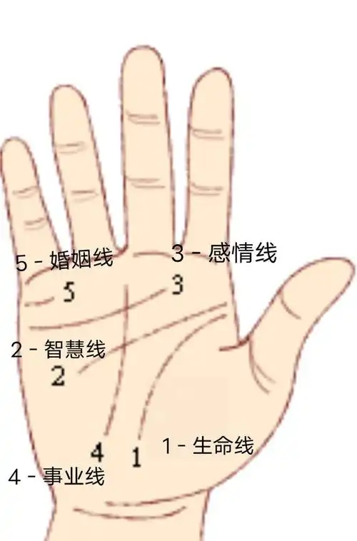 来来来看手相的来了,很准