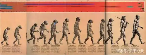 那么根据进化论.