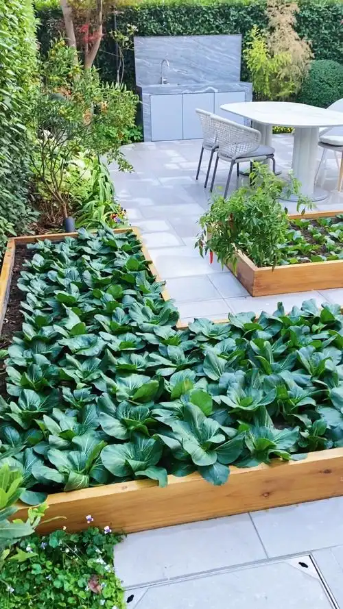 花园设计#石月老师作品,优雅时尚,现代简约,菜园的设置更是有了烟火