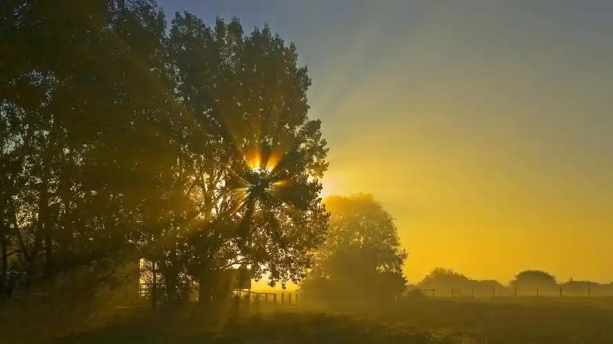 初生太阳温暖早安心语图片