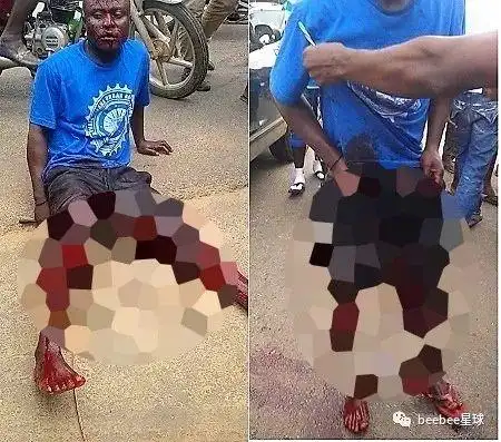 在鸡鸡黑市,他们把从非洲偷来的鸡鸡在美国高价出售|科吉州|黑市|器官