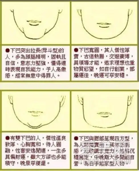 (附其他下巴的面相意义~)