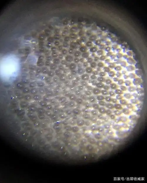 犀角杯怎么鉴定真假?