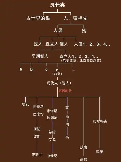 10分钟带你看懂人类进化简史!