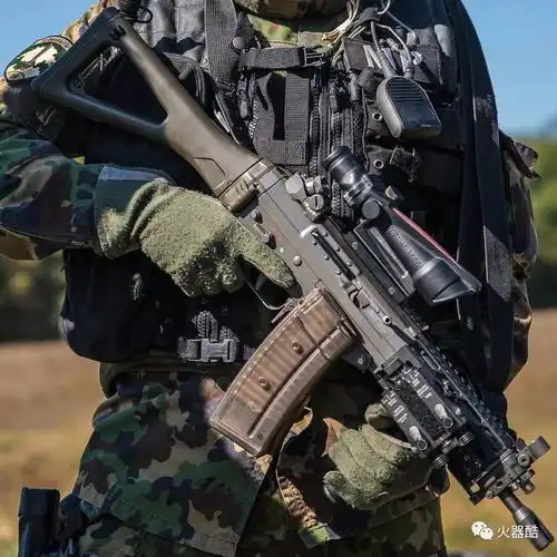 经典短突sigsg553突击步枪图集