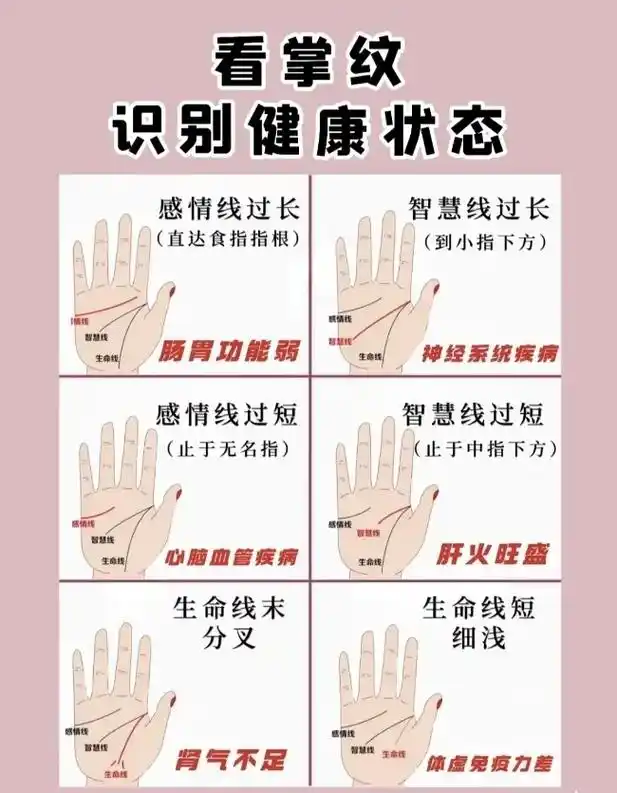 跟着中医学手诊79观掌纹辨健康6015  97中医中,经常会利用我