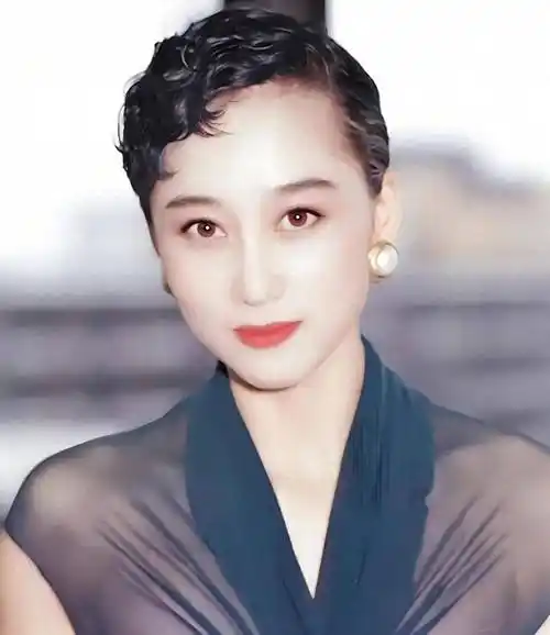 李连杰妻子利智,黑色网纱上衣,短发造型,美丽有气质