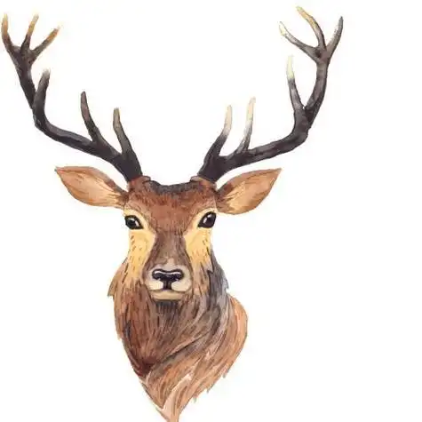 动物鹿的头像唯美图片大全 动物头像图片大全 -【爱个性】