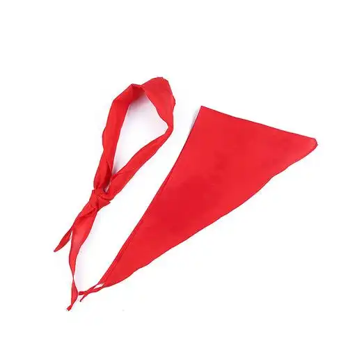 2米次棉形状三角形旗杆材料其他旗面面料手缎旗帜种类红领巾产品编号