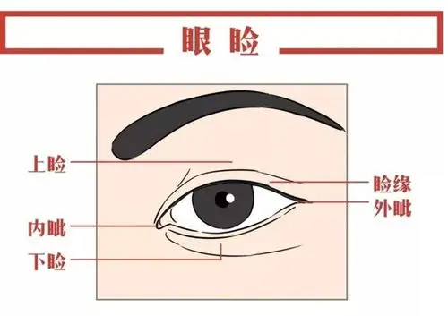 圈子-新氧美容整形