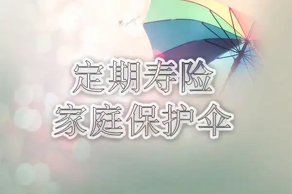 定期寿险收入要求 定期寿险适宜哪些人群