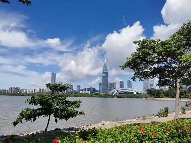 最美自行车道—深圳湾