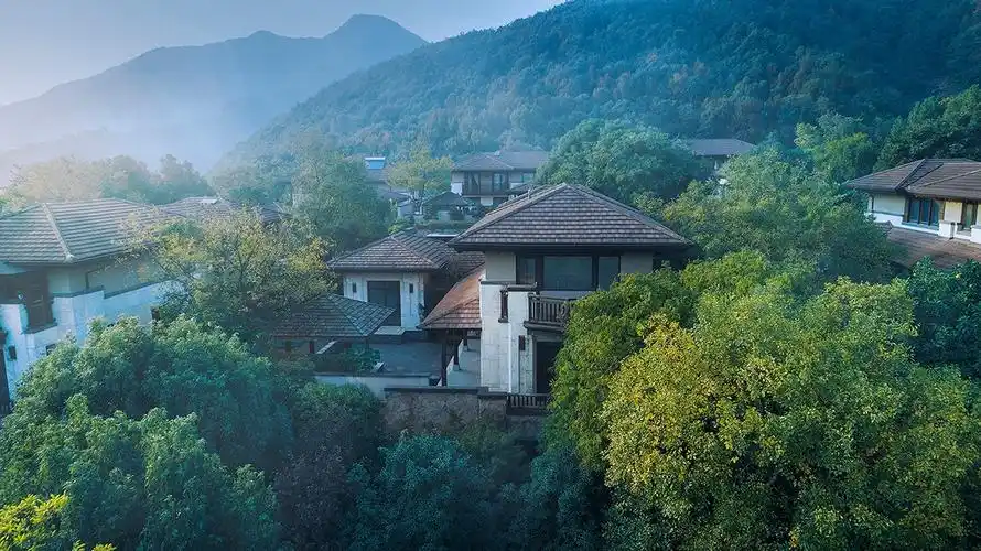 杭州万科公望森林别墅五期