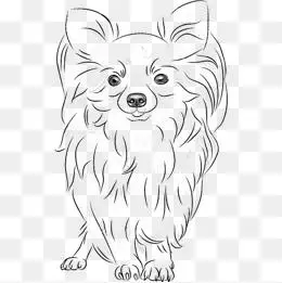 简笔素描可爱狮子狗