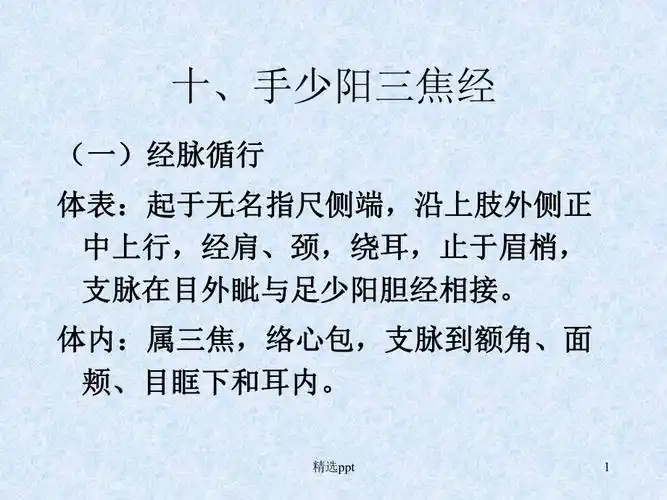手少阳三焦经_第1页