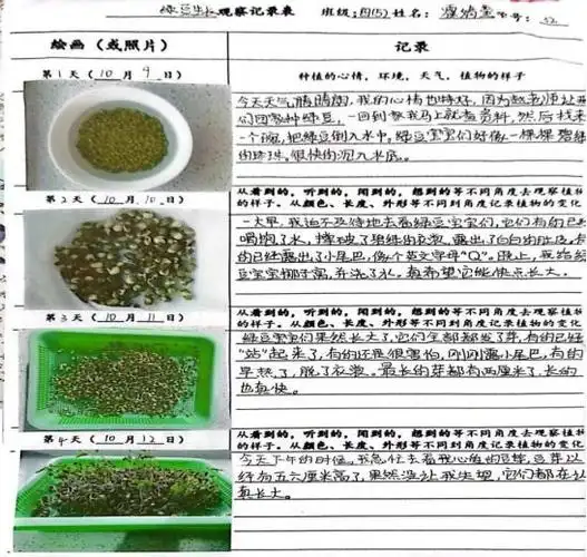 基础教育创新人才培养实践与反思