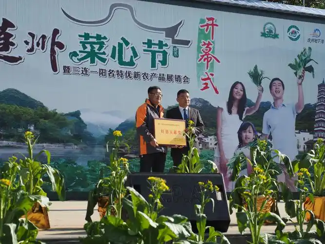 2016连州菜心节一棵菜心王拍出66万元