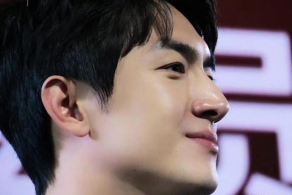 盘点大鼻子明星林更新最好看王力宏堪称完美王源大肉鼻最丑