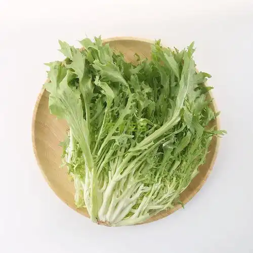 生态苦苣300g【行情 报价 价格 评测 特价 折扣】-本来生活网