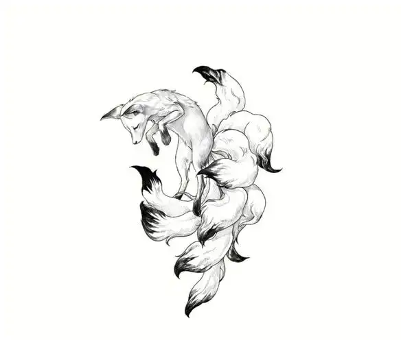 九尾狐手稿喜欢拿走