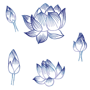 荷 花线条图片大全_荷 花线条图片素材【png免费下载】-90设计网