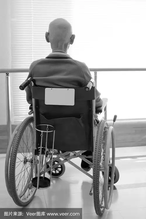 坐在轮椅上的老人的后视图