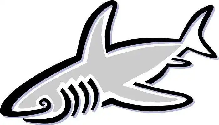 霸气锤头鲨鱼简笔画