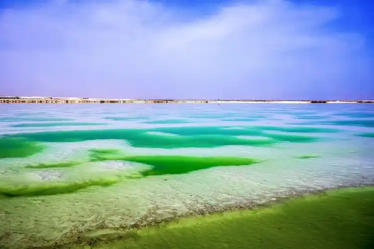 青海.海西.茫崖翡翠湖(十一)2019.