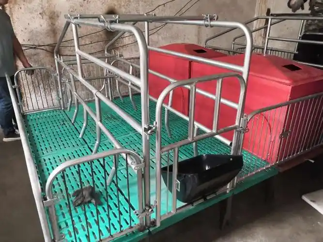 华田母猪产床复合双位一体产床