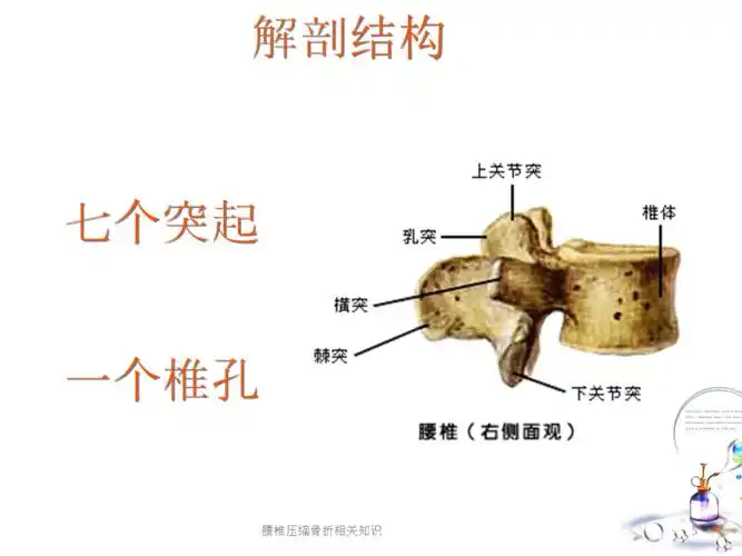 腰椎压缩骨折相关知识课件