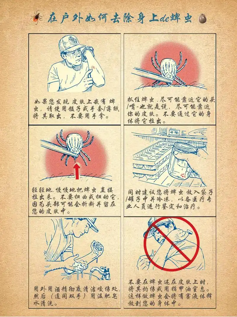 在户外如何去除身上的蜱虫.