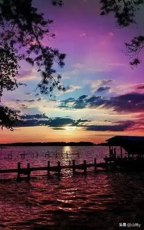 世界顶级摄影师的获奖作品,看看美好事物能让心情愉悦